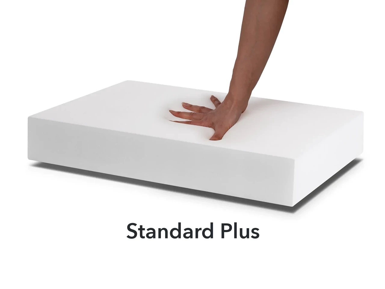 mypado Dreamer Structure Hundebett Standard plus